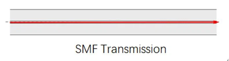 SMF Transmission